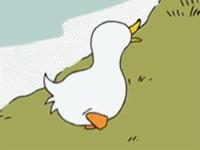 阿里巴巴购买的东西正宗吗,阿里巴巴哪个产品值得购买