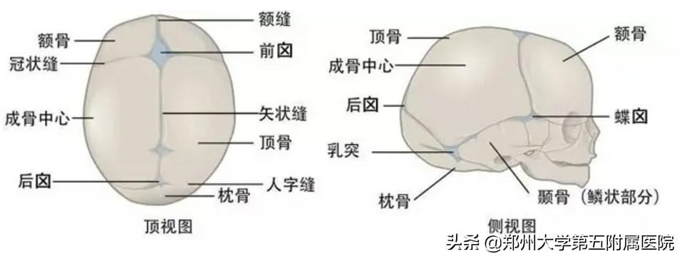郑州大学五附院康复科怎么样,郑州大学五附院儿科