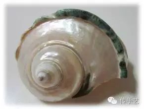 故宫都杀到你脸上来了,我给配上解药让毒发更欢快(附制作工艺)