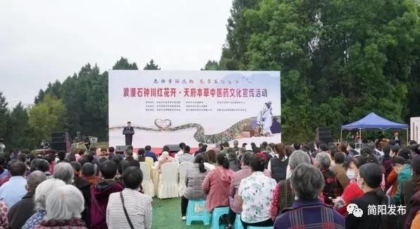 振兴川红花过上红火日子