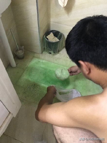 猫砂可以直接倒入马桶吗,猫砂可不可以倒入马桶