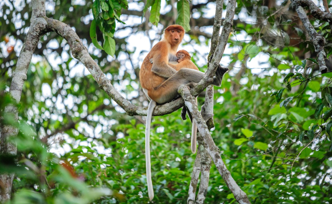出国去哪儿玩便宜又好玩,国外旅游吃海鲜最便宜旅游胜地