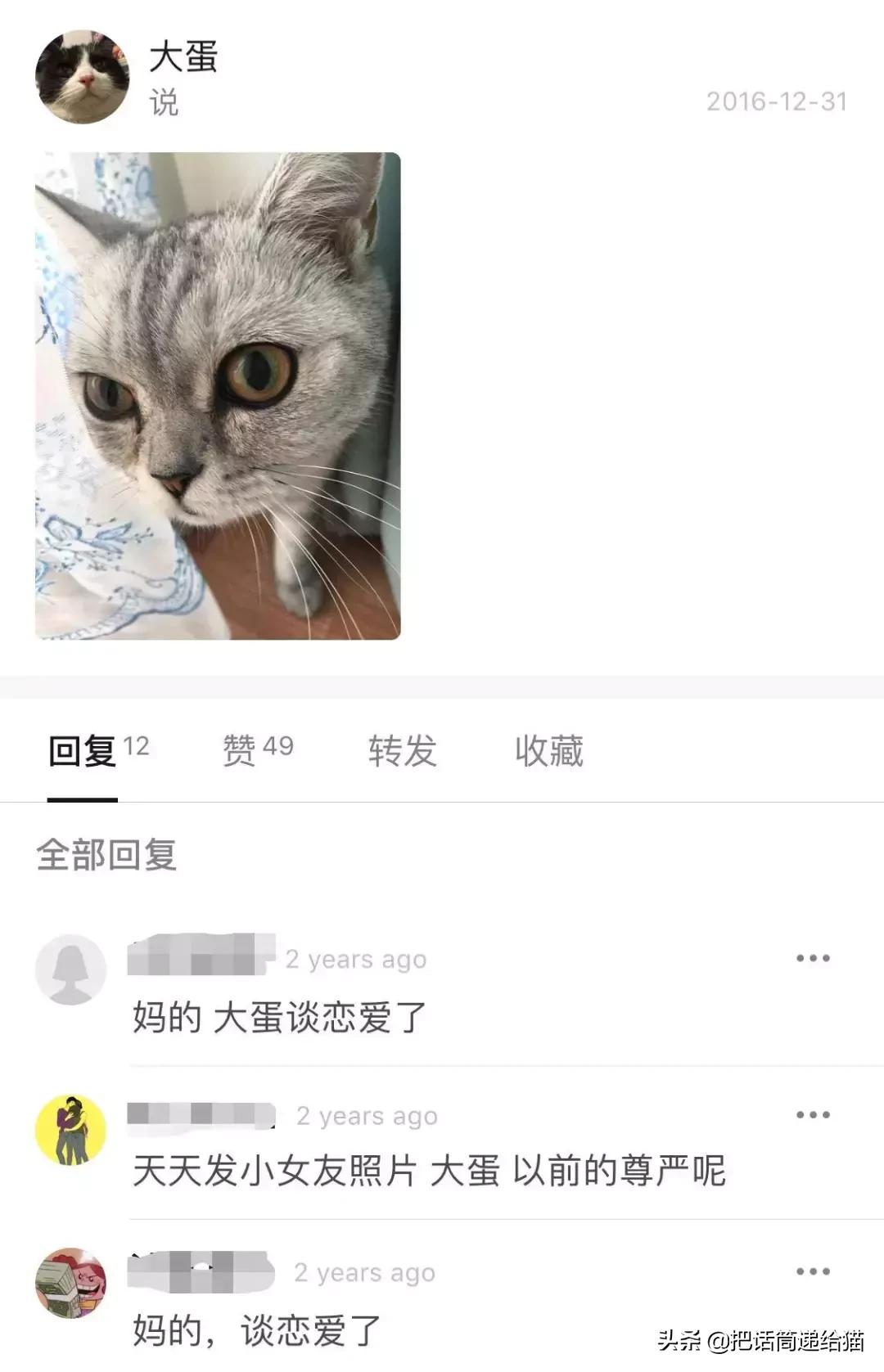 猫故事书籍,猫故事小说