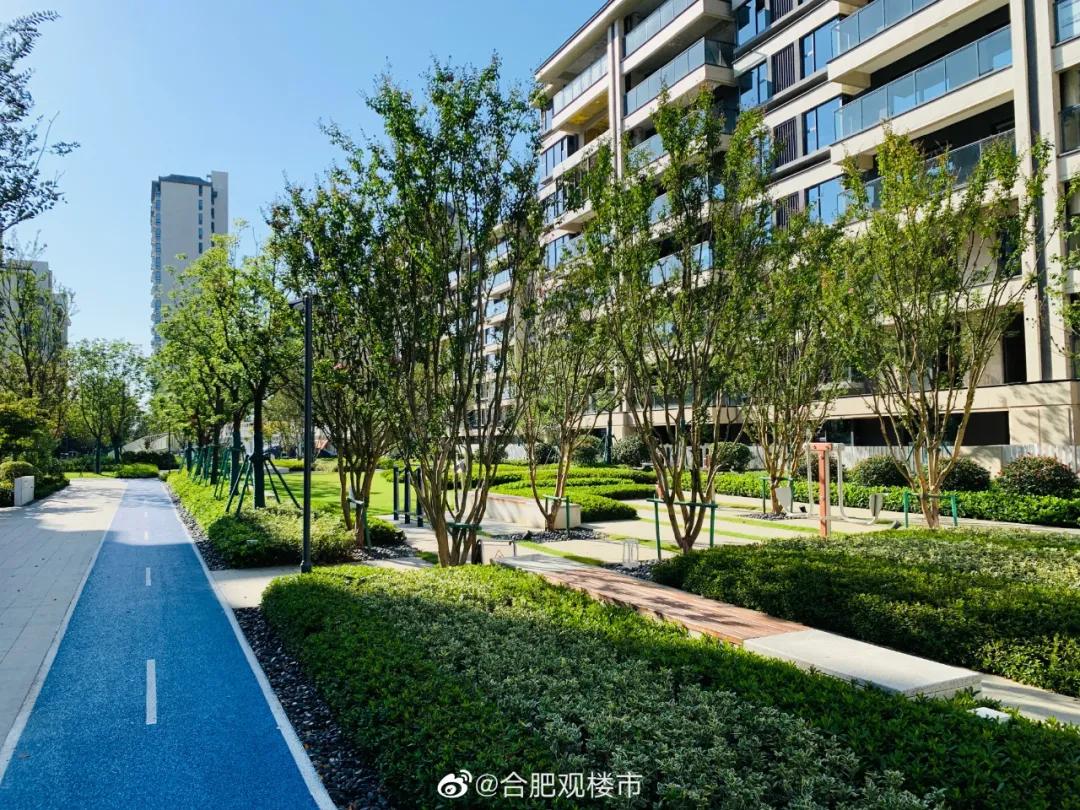 合肥十大平层楼盘排行榜,合肥前十名3室100万首付新楼盘