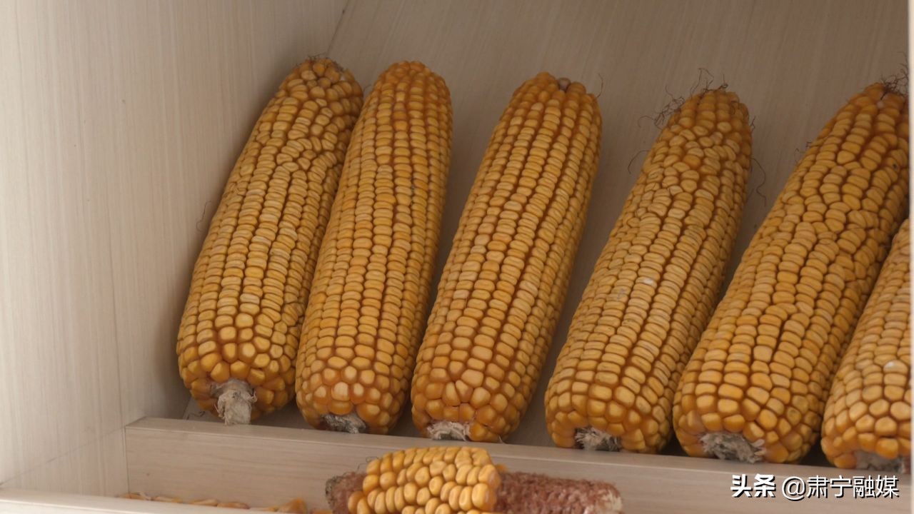 肃宁融媒,肃宁融媒怎么样