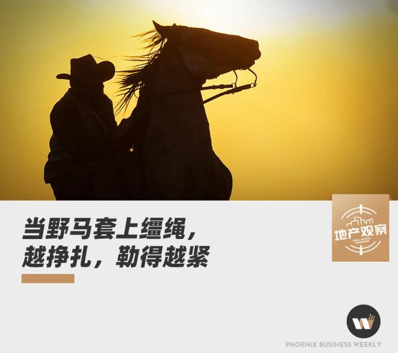 开发商违约违约金太低怎么办,开发商违约后没钱还怎么办