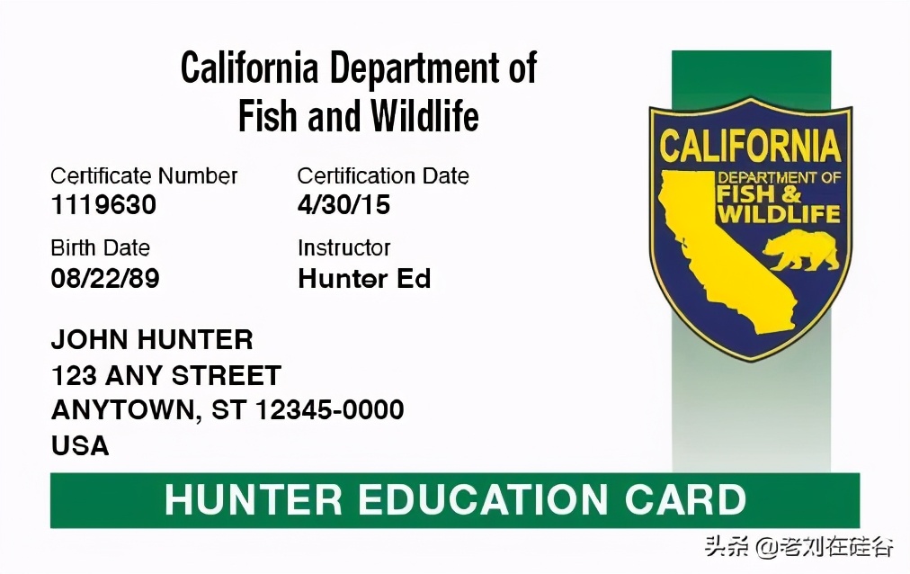 美国枪支认定标准,美国枪支安全法