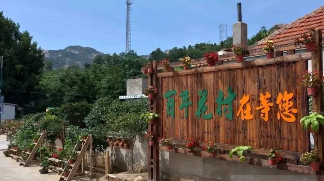 种草一个被遗忘的小岛，背山靠海，拥有山东最美的“童话屋”，美到窒息！