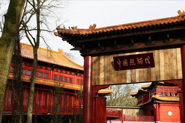 荷兰的绝美照片,荷兰绝美自然风光照片