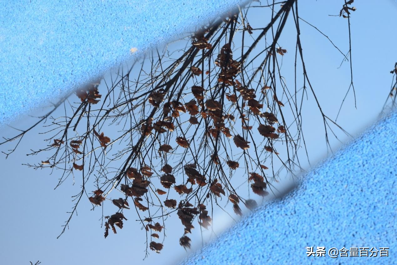 360行车记录仪m310怎么样,360行车记录仪m320与m310哪款好