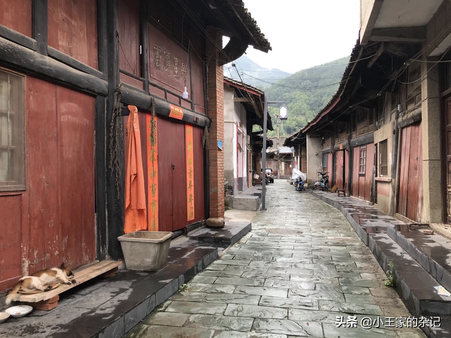 大山里,有一趟可以赶集的绿皮车|8361次汉中—阳平关