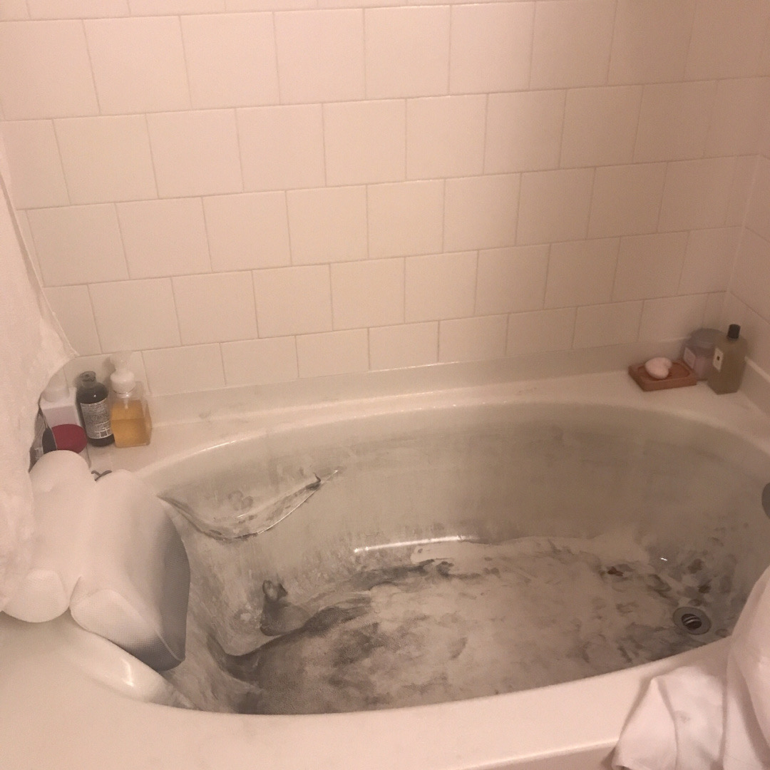 乌贼宰杀视频,乌贼被杀的过程