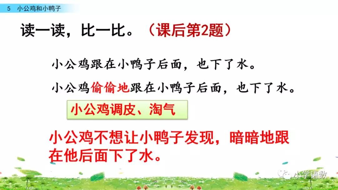 小公鸡和小鸭子一年级下册视频,一年级下语文小公鸡和小鸭子讲解