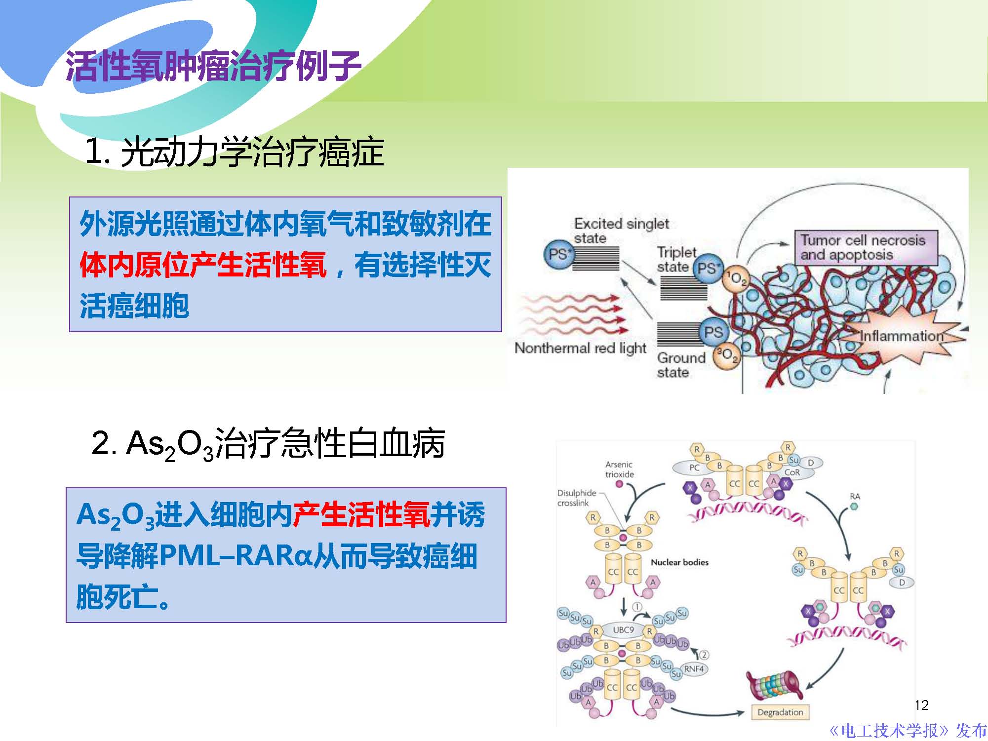 癌症治疗最前沿学术成果,交大癌症治疗新突破