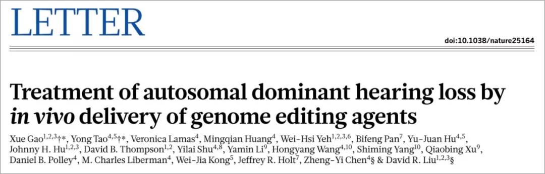 人类首次通过基因编辑攻克隐性遗传病！用单碱基编辑治愈耳聋小鼠
