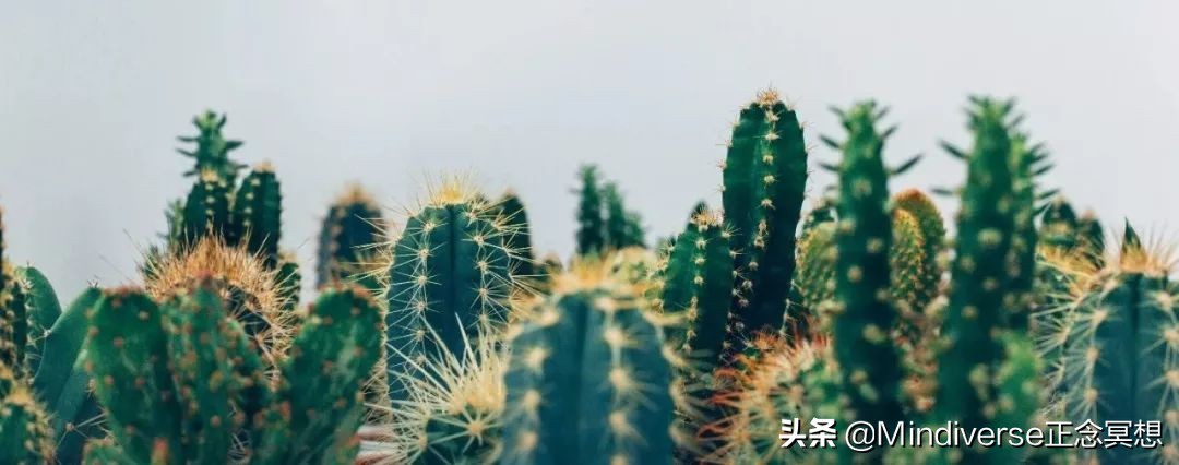 璁ょ煡鍗囩骇鑷垜鎴愰暱,淇濇寔姝e康閲嶅澶ц剳鎬濈淮妯″紡