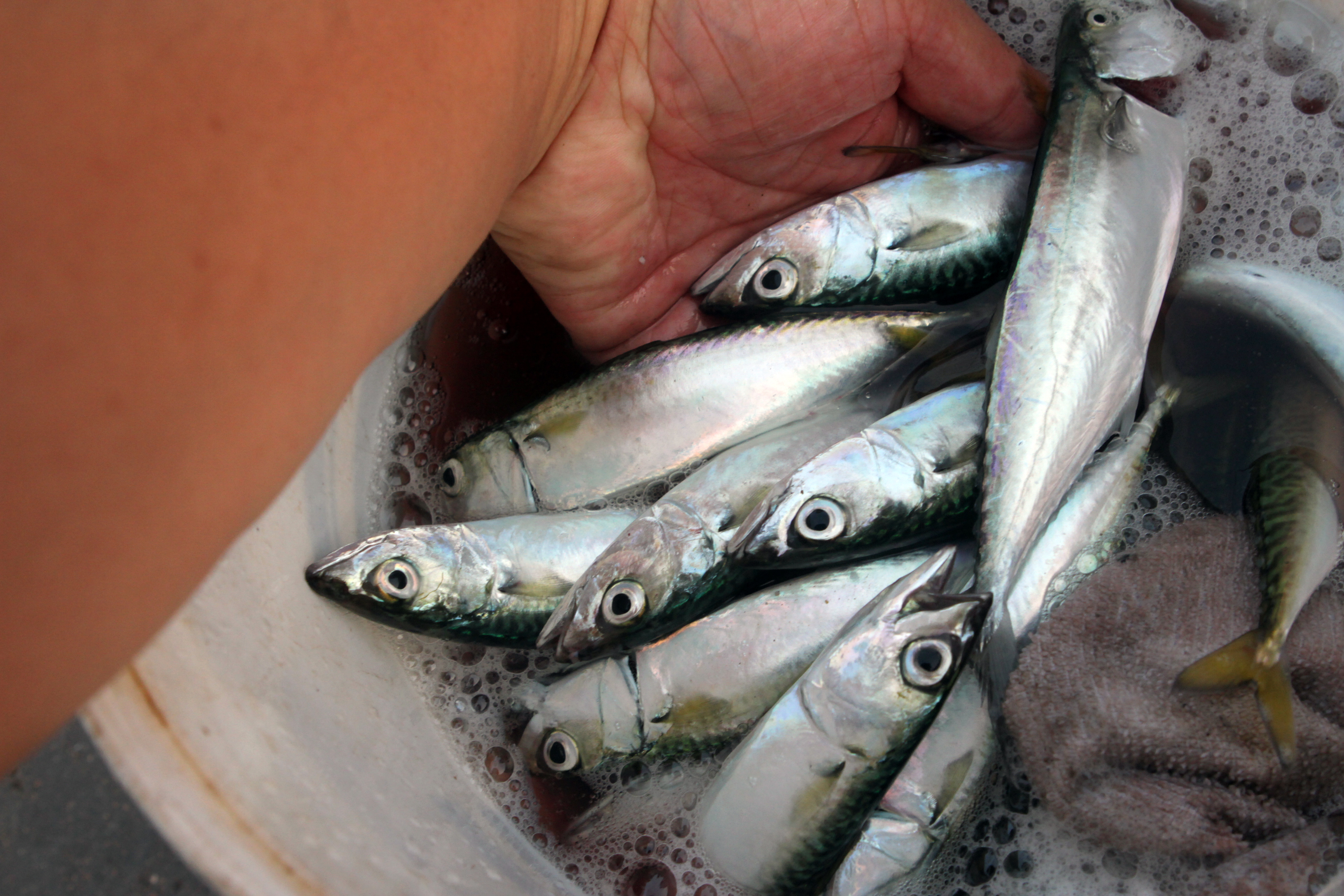 海滨度假推荐,海滨旅游休闲度假