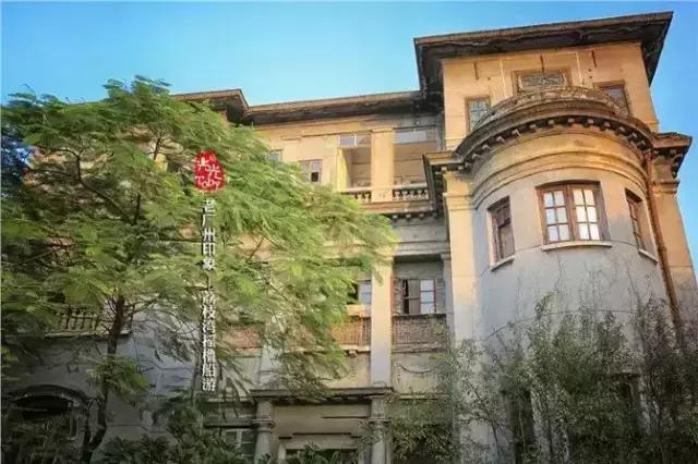 广州早茶看粤剧,老广州早茶听粤剧