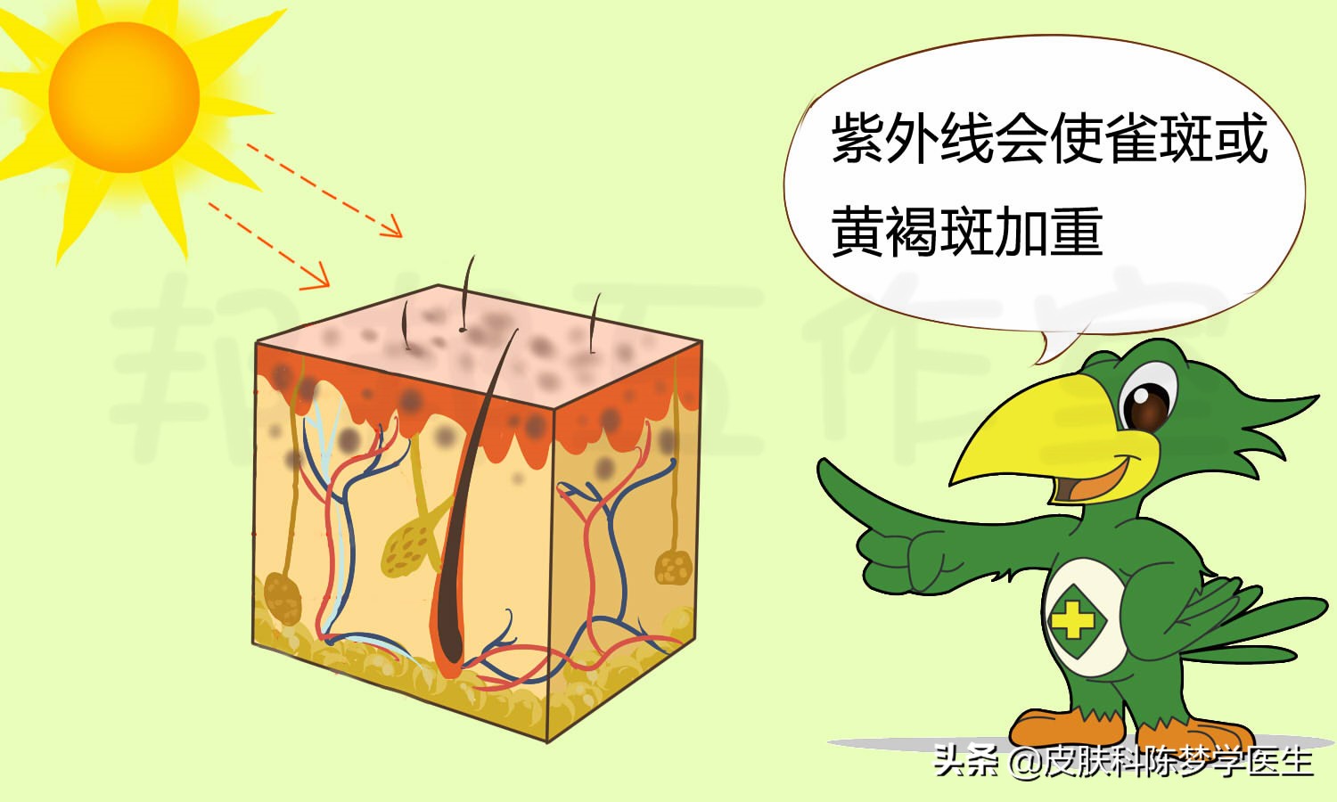 皮肤病是上辈子做错了什么吗,皮肤病是父母遗传问题吗