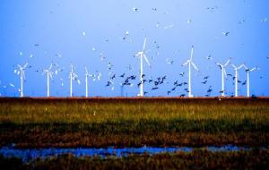 江苏省盐城市经济状况,盐城简介江苏省地级市
