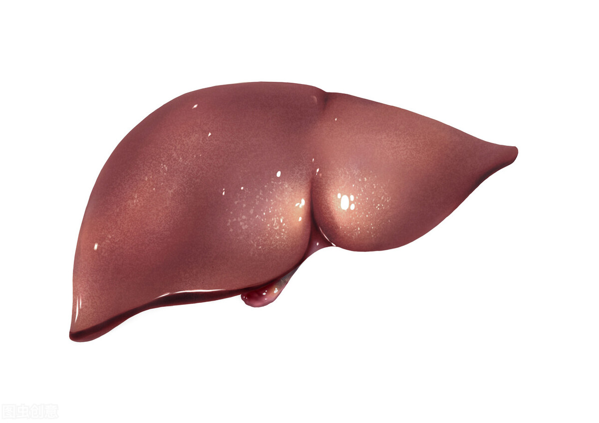 倪海厦是医经派还是医方派,倪海厦谈中医派之争