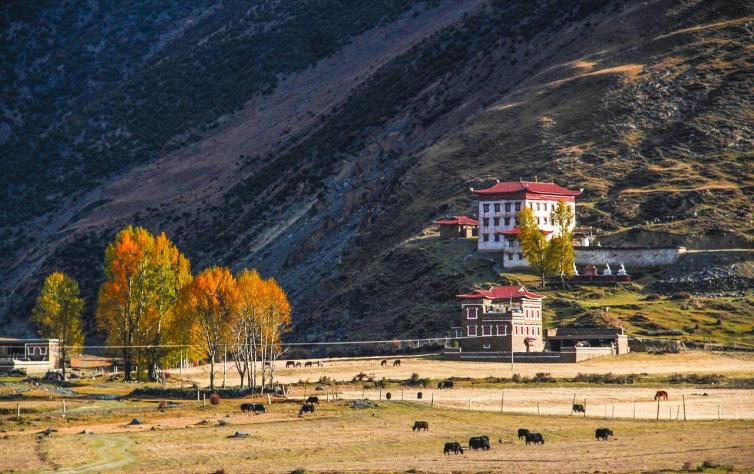 一起去西藏5条经典进藏路线,首次进藏往返适合走什么线路