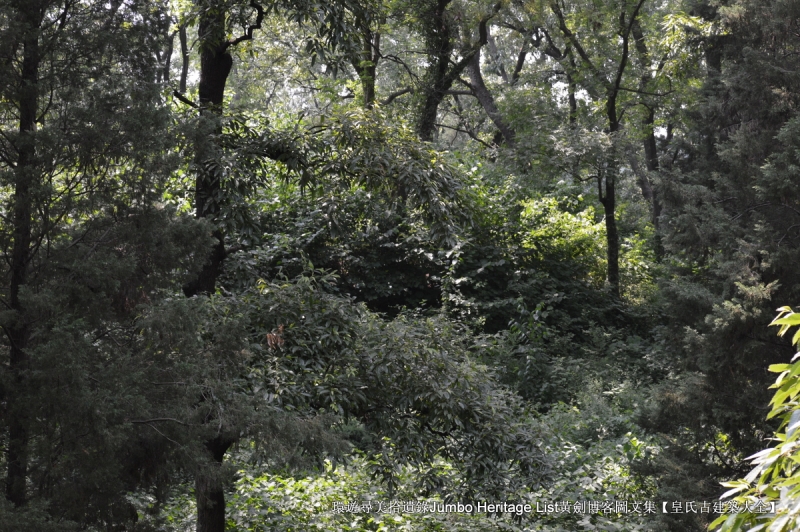 第2015回：元佑宫莫愁湖浩荡，农工商佛道释交融