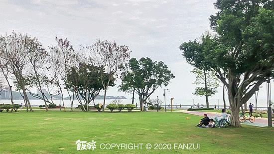 珠海最值得去的地方旅游攻略,珠海十大绝美夜景