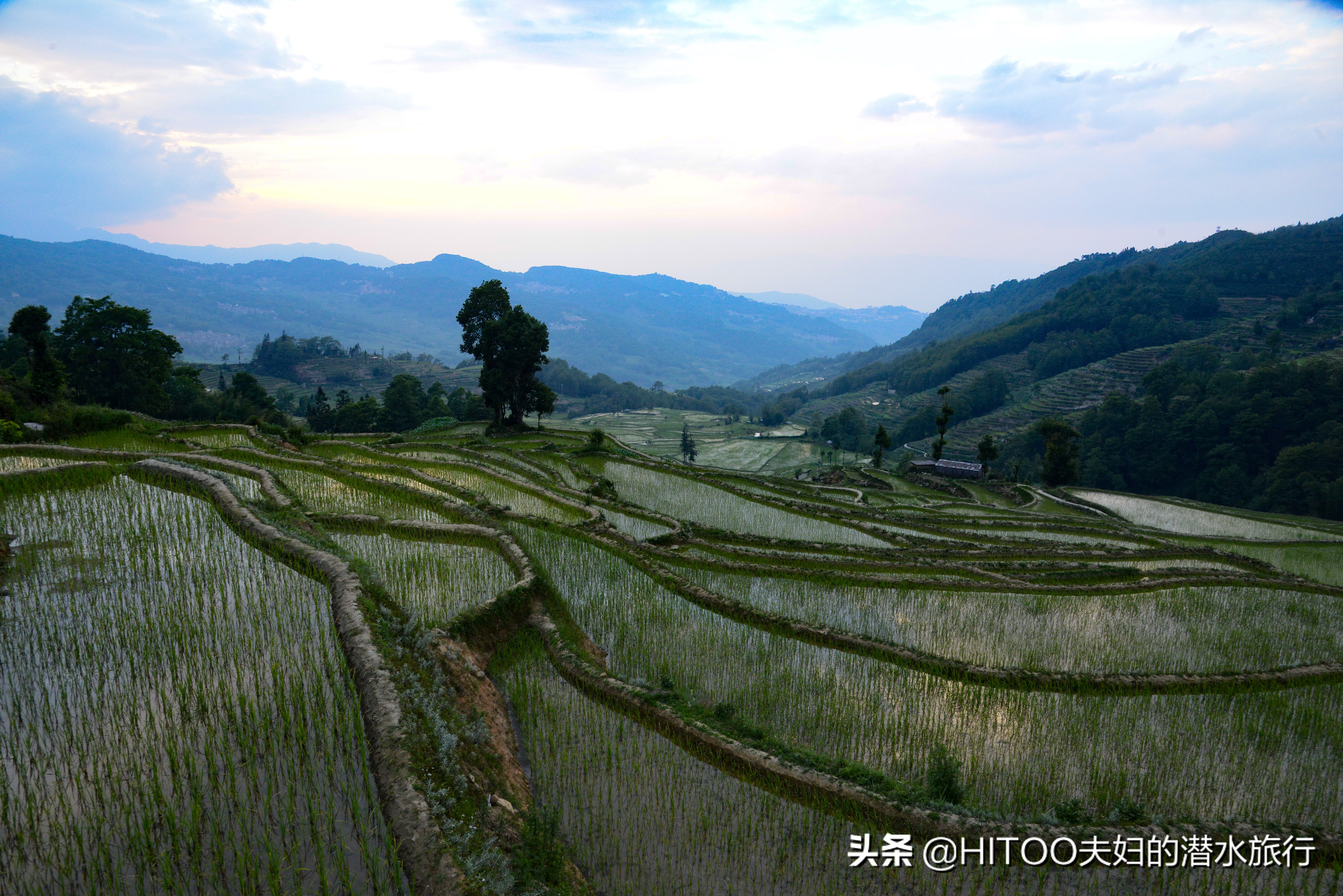 自驾元阳梯田旅游攻略时间,元阳梯田自驾游玩攻略路线
