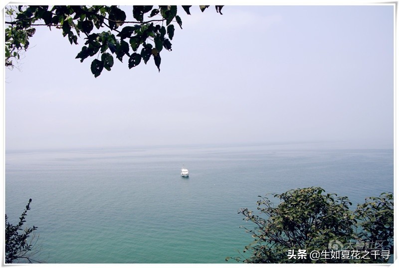 深圳市杨梅坑美人鱼拍摄基地,深圳大鹏杨梅坑美人鱼拍摄地点