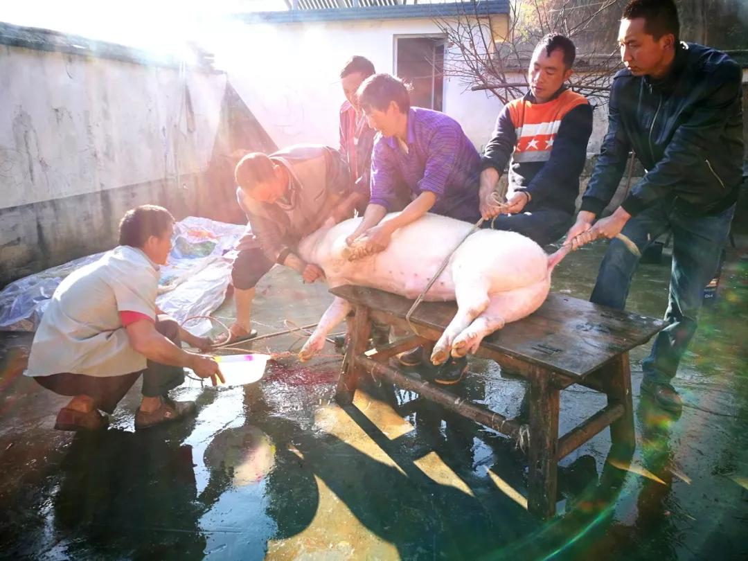 这是一个充满生机的公园怎么说,这是一个充满生机的国度朗诵