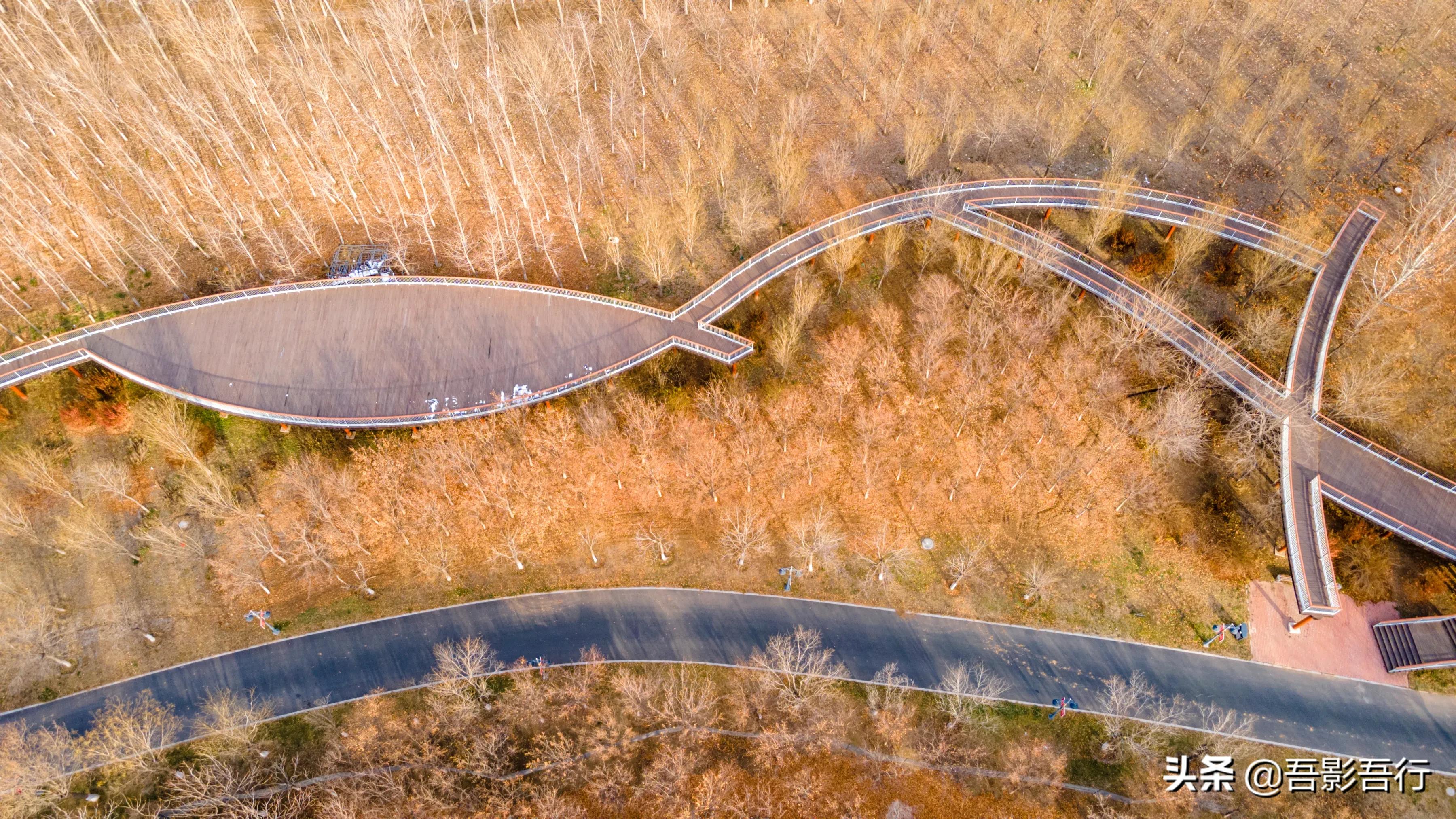 天津山区森林公园,航拍天津公园4k
