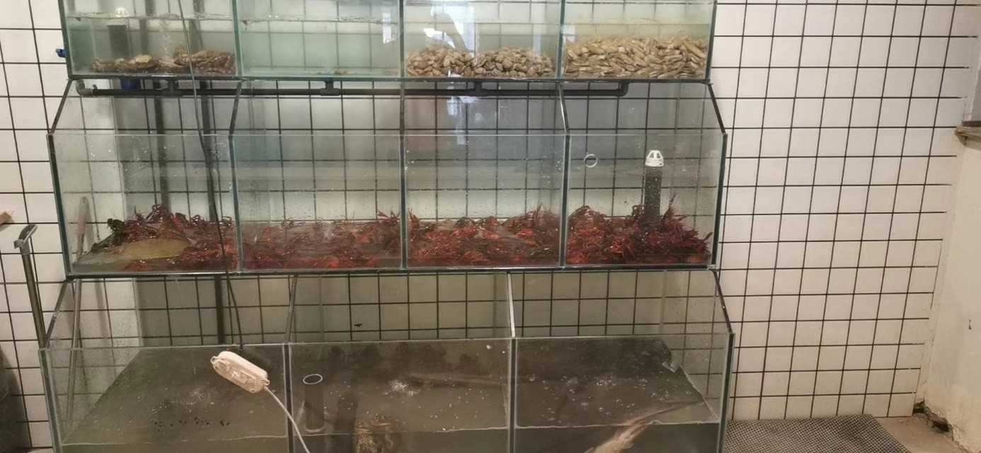 打卡洛阳夜八点巷子美食,打卡洛阳夜市十字街