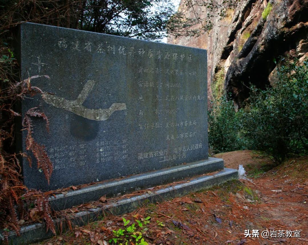 曦瓜鬼洞铁罗汉新老包装区别,曦瓜内鬼洞铁罗汉品鉴