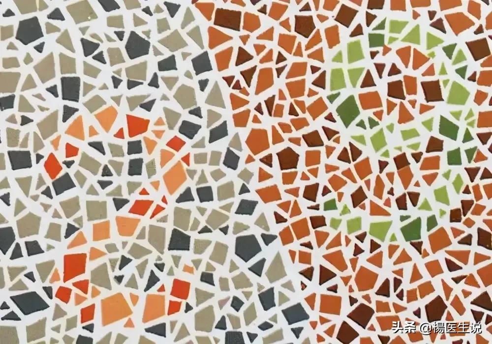 黑白色盲眼中的世界,色盲眼中的世界