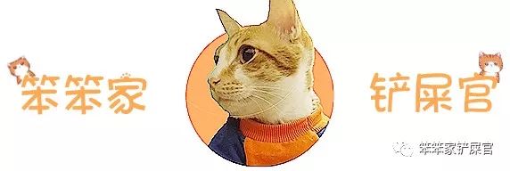 被猫抓了怎么办？：与其担心狂犬病，不如先处理伤口，避免猫爪热