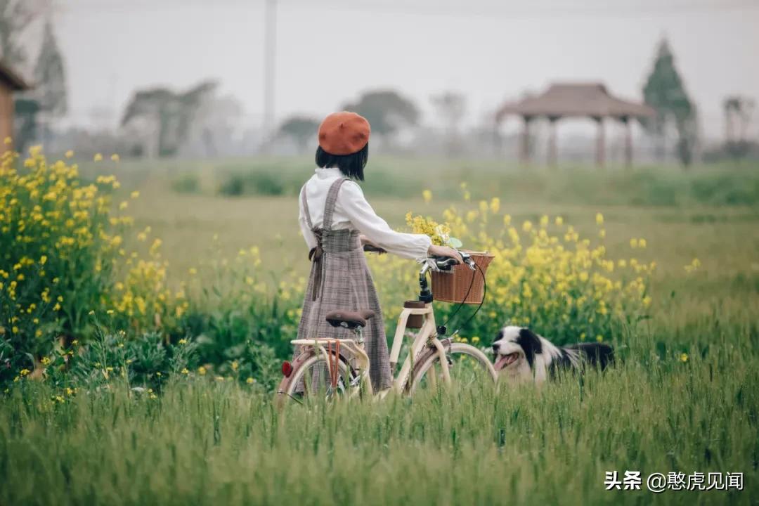 苏州乡村旅游景点大全排名,苏州乡村旅游小镇有哪些