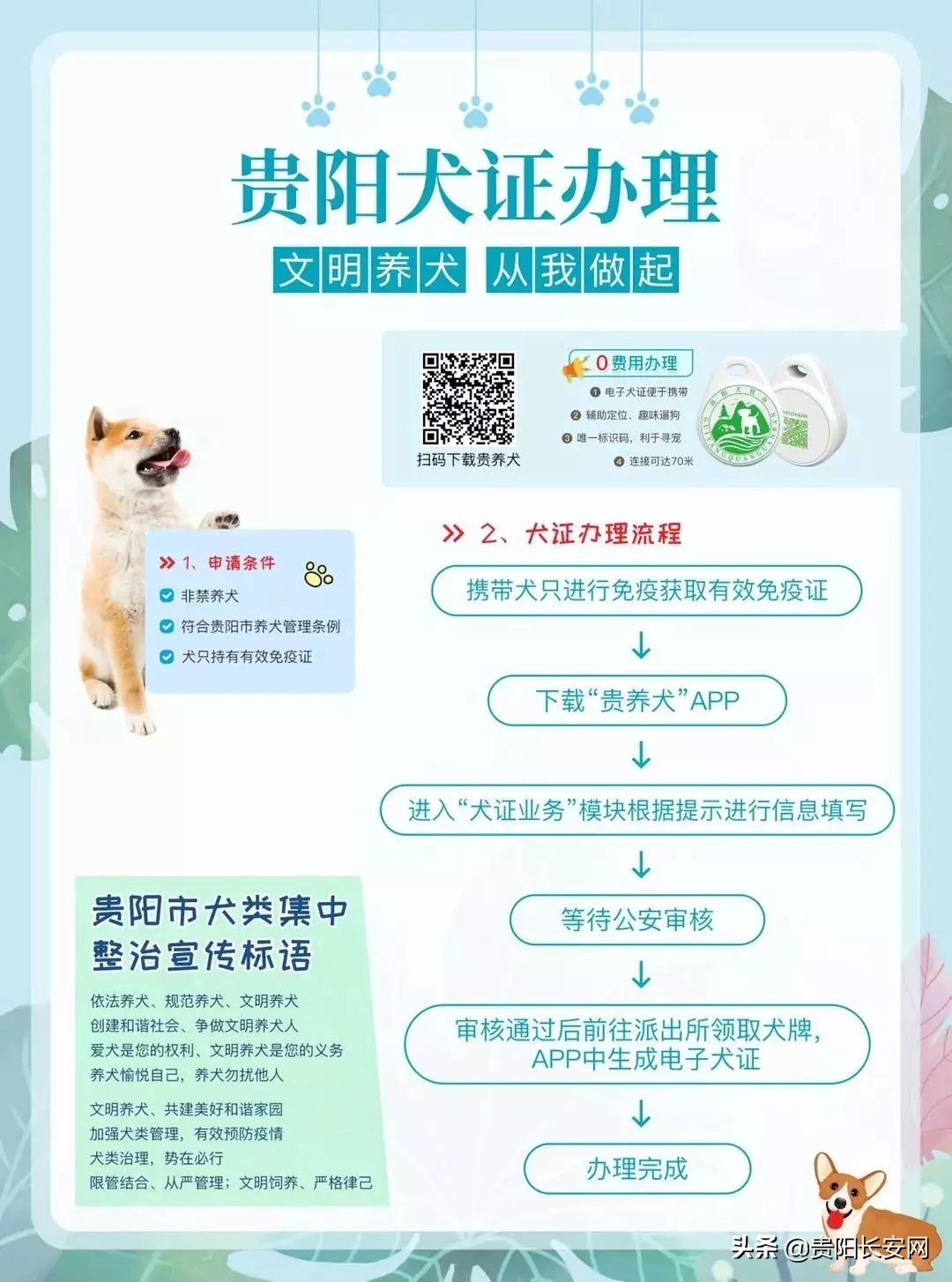 在贵阳怎么给狗办证,贵阳小型犬需要办狗证吗
