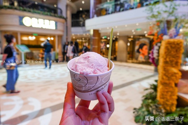 海洋光谱号转港,海洋光谱号玩的项目