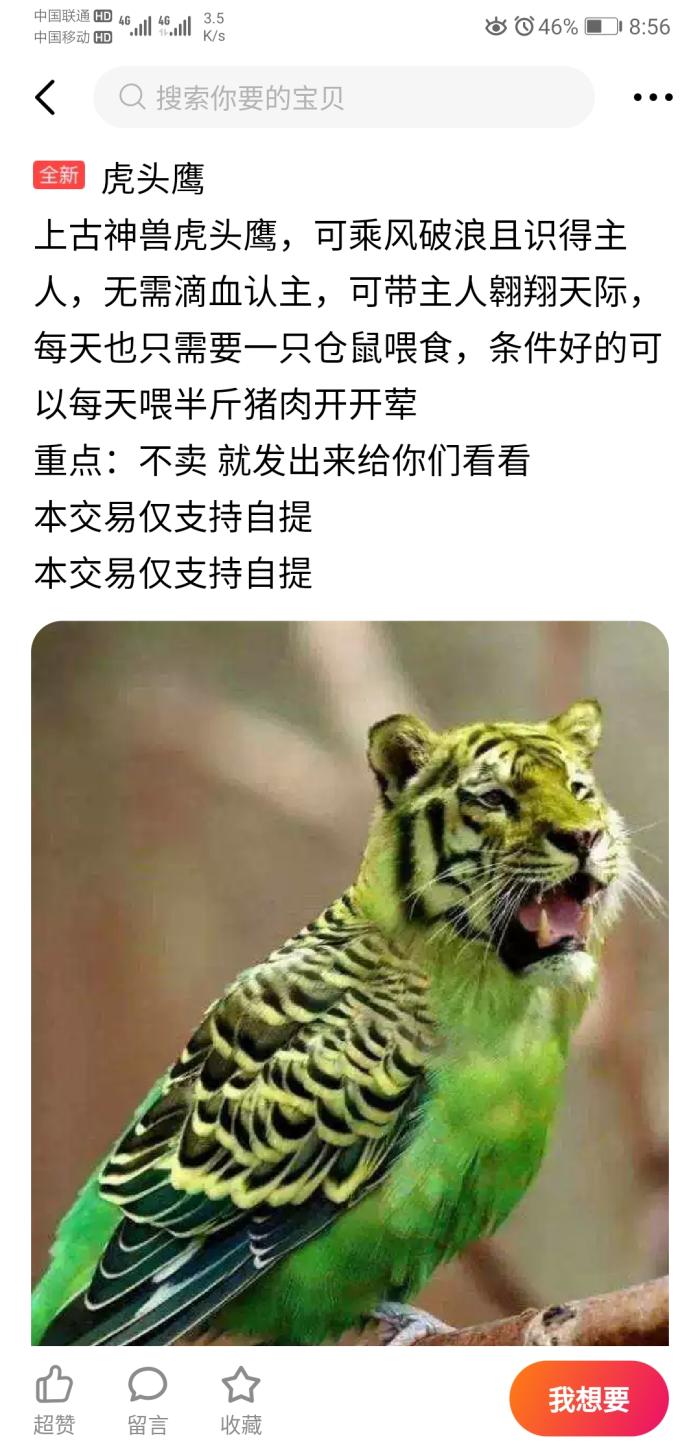 闲鱼上为什么那么多便宜的外星人,闲鱼高配置低价格卖外星人