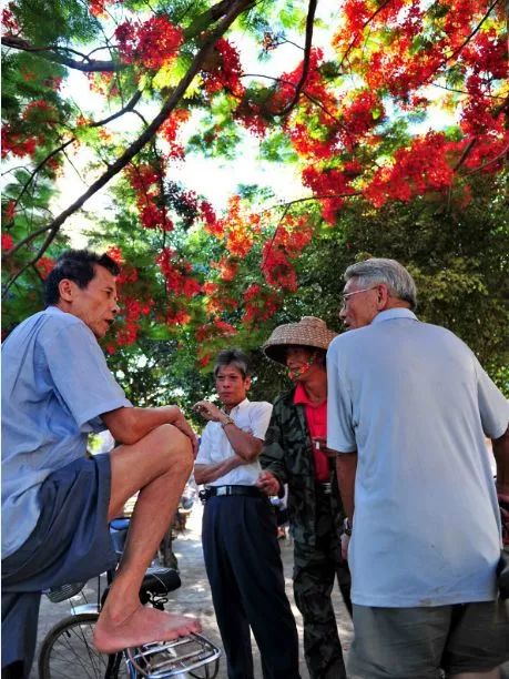 距海南仅20km，这个处女地比台湾风情、比三亚便宜，你错过了吗？