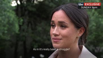 梅根有多少黑历史,梅根黑历史真相