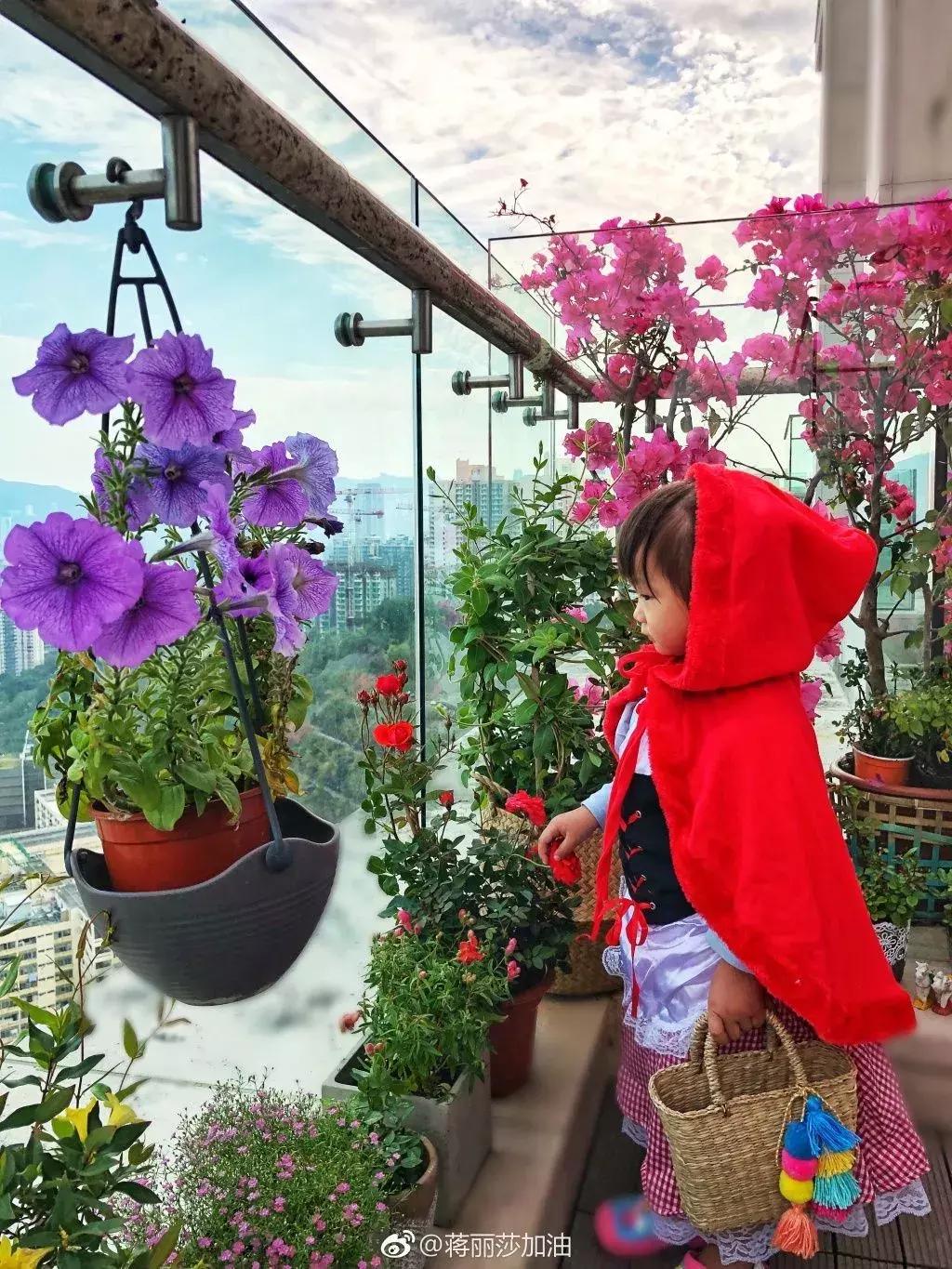 老佛爷的猫继承多少遗产,老佛爷去世了猫继承了多少遗产