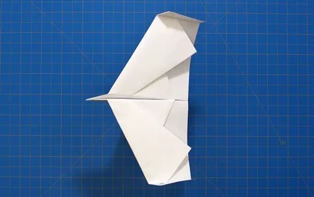 折纸带盖的纸飞机,折纸飞机载客人