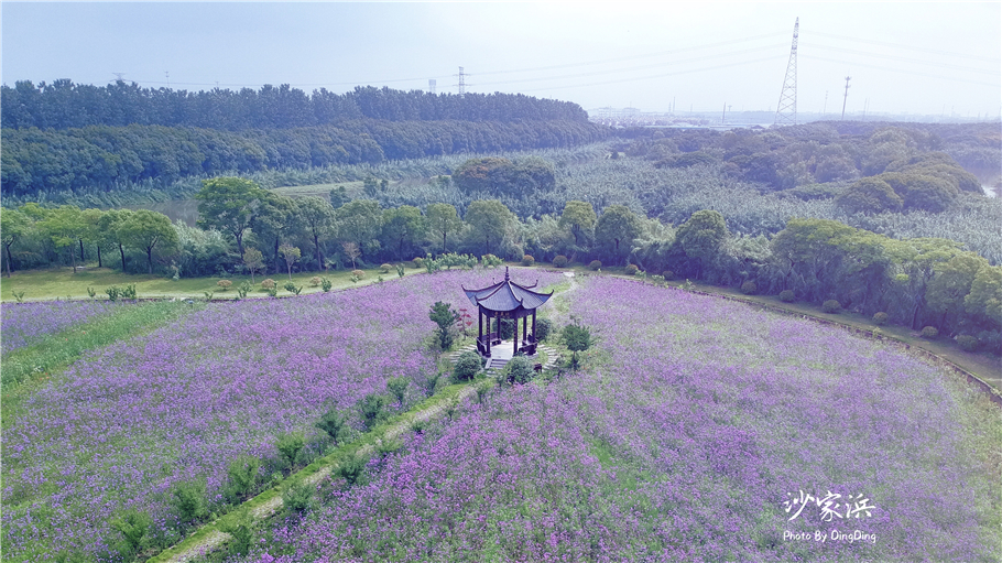 苏州红色革命旅游景点图片,苏州红色革命景点介绍视频