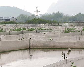 呱呱~石潭有个“青蛙王子”，每天都与500万只青蛙玩耍！