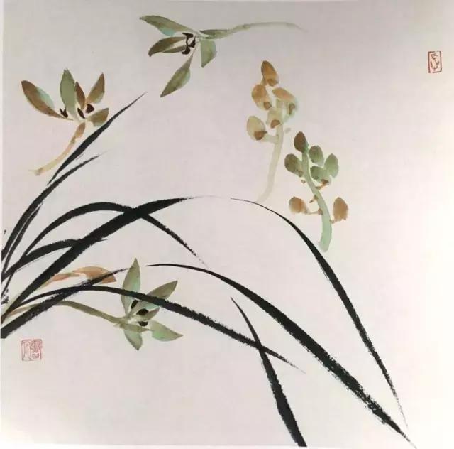 跟徐湛学国画兰草的画法,跟徐湛老师学国画全集兰草画法