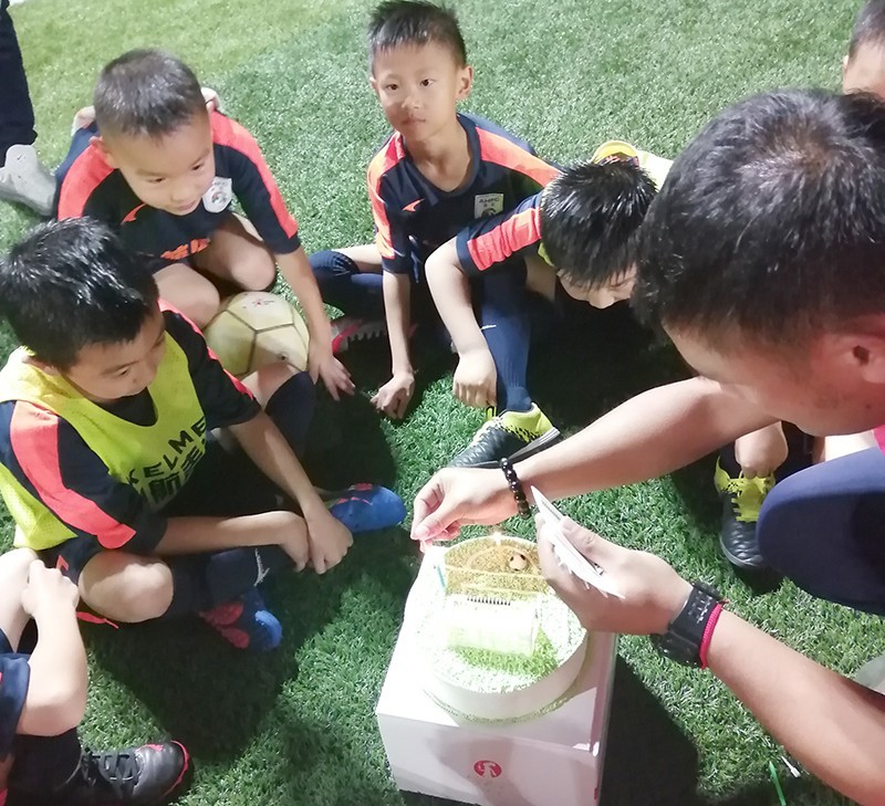 南充奥航足球俱乐部,南充奥航足球俱乐部球员