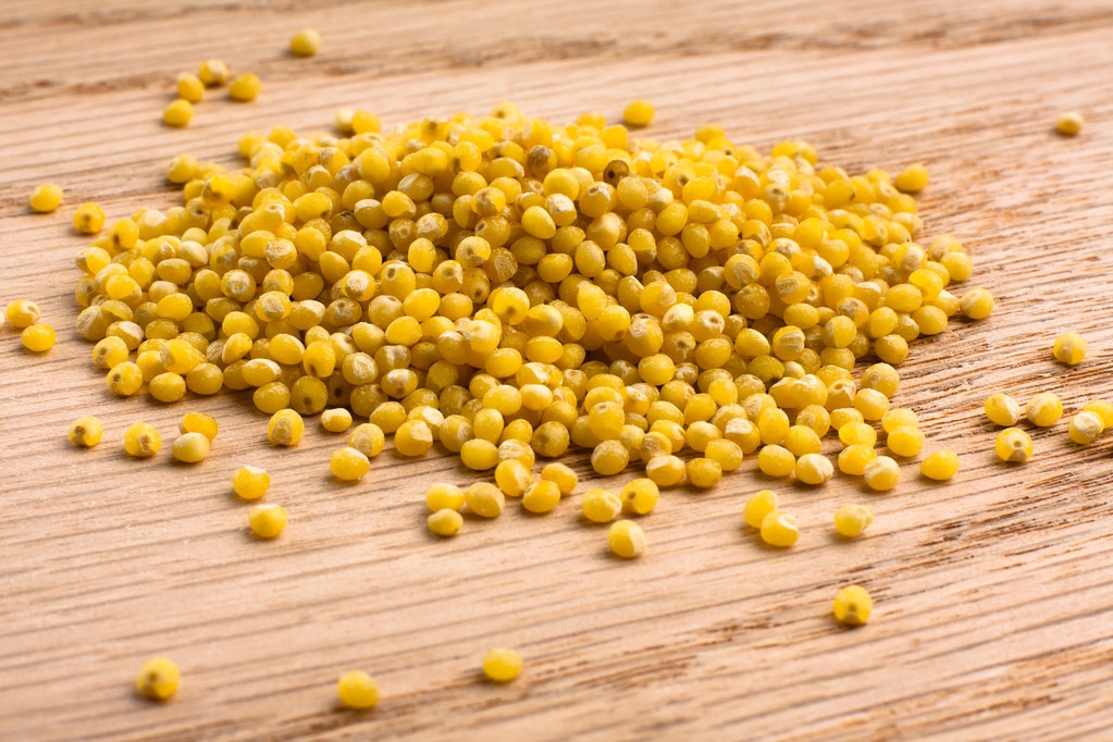 小兰姐姐的诗句,小兰姐姐诗歌视频