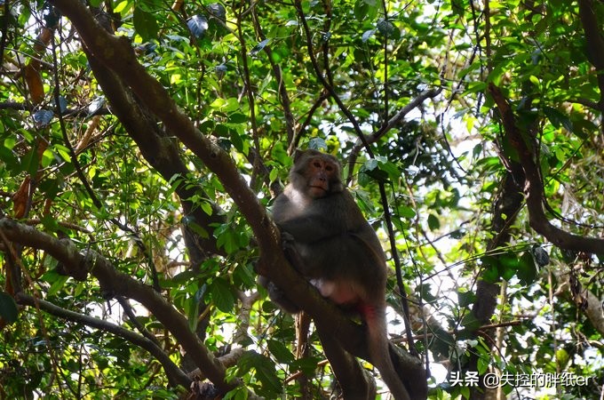 带上妈妈去旅行,带妈妈旅行去哪里合适